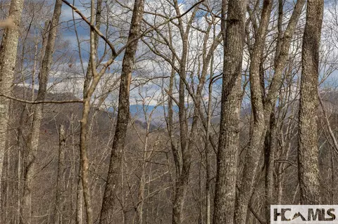 lot55 Cullowhee Forest Rd, Cullowhee, NC 28723 photo 7