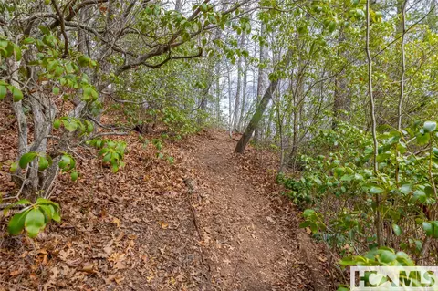 lot55 Cullowhee Forest Rd, Cullowhee, NC 28723 photo 4