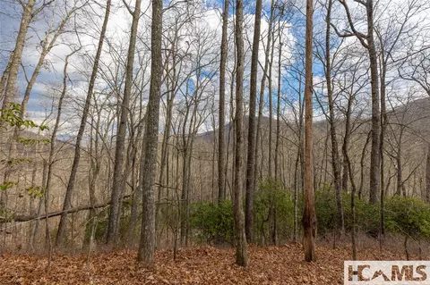lot55 Cullowhee Forest Rd, Cullowhee, NC 28723 photo 15