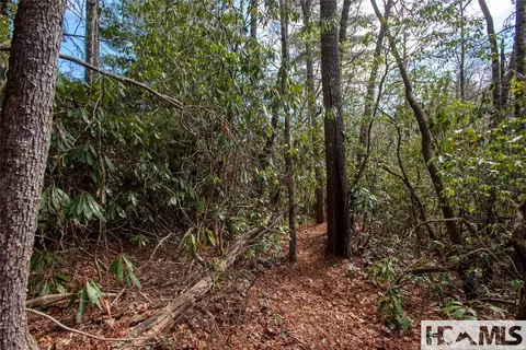 lot108 R Rockhouse Falls Ln, Sapphire, NC 28774 photo 4
