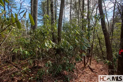 lot108 R Rockhouse Falls Ln, Sapphire, NC 28774 photo 5