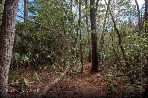 lot108 R Rockhouse Falls Ln, Sapphire, NC 28774 photo 2