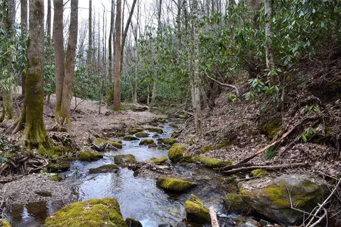 lot Hs Speckled Feather Pass, Sapphire, NC 28774 photo 3