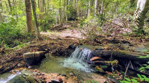 lot Hs Speckled Feather Pass, Sapphire, NC 28774 photo 2