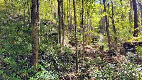 lot Pq Spikemoss Rd, Sapphire, NC 28774 photo 2