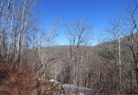 lot19 Speckled Feather Pass, Sapphire, NC 28774 photo 2