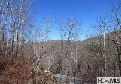 lot20 Speckled Feather Pass, Sapphire, NC 28774 photo 2