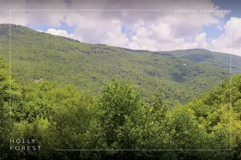 lot91 Bald Eagle Ct, Sapphire, NC 28774