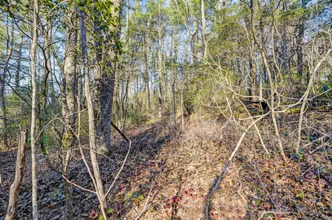 lot17 Bowery, Highlands, NC 28741 photo 4