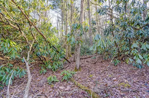 lot17 Bowery, Highlands, NC 28741 photo 5