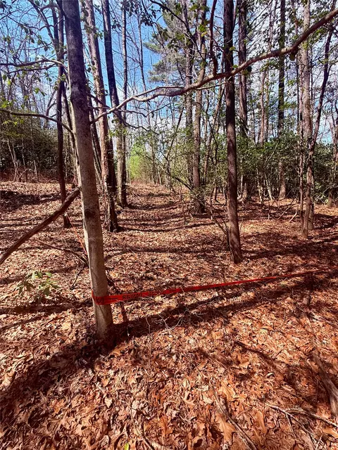 tbd Minerva, Sapphire, NC 28774 photo 7