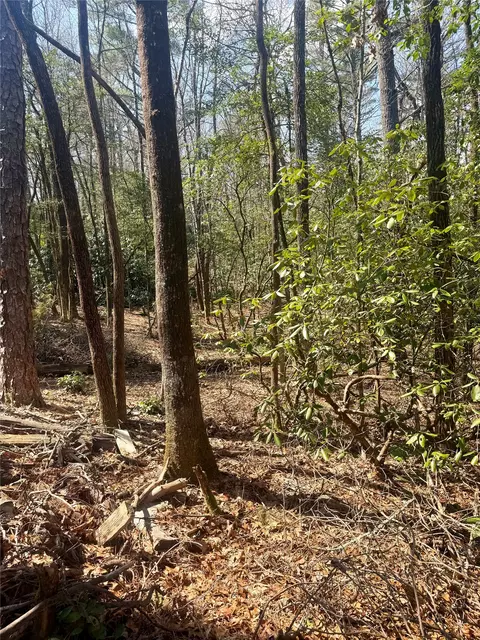 tbd Minerva, Sapphire, NC 28774 photo 4