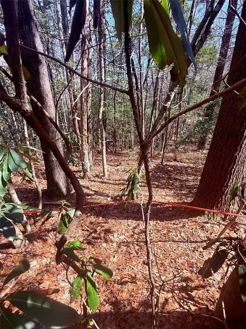 tbd Minerva, Sapphire, NC 28774 photo 9