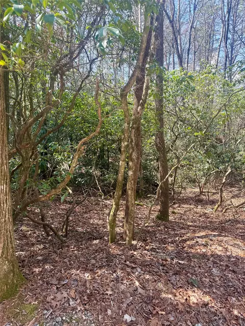 tbd Minerva, Sapphire, NC 28774 photo 2