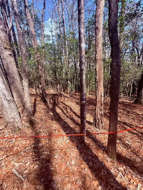 tbd Minerva, Sapphire, NC 28774 photo 8