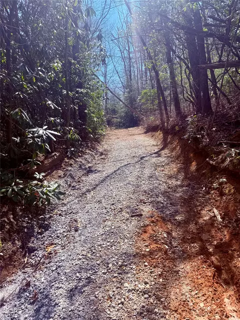 tbd Minerva, Sapphire, NC 28774 photo 11