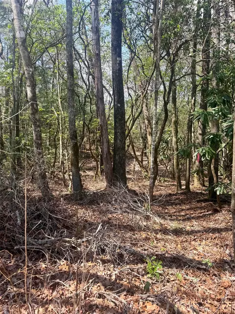 tbd Minerva, Sapphire, NC 28774 photo 3