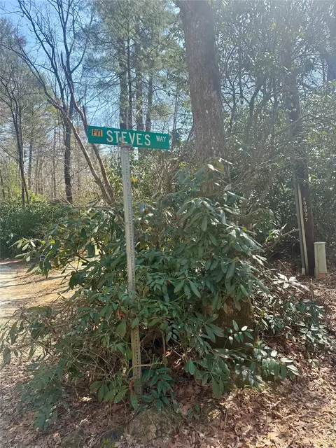 tbd Minerva, Sapphire, NC 28774 photo 12