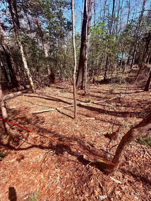 tbd Minerva, Sapphire, NC 28774 photo 6