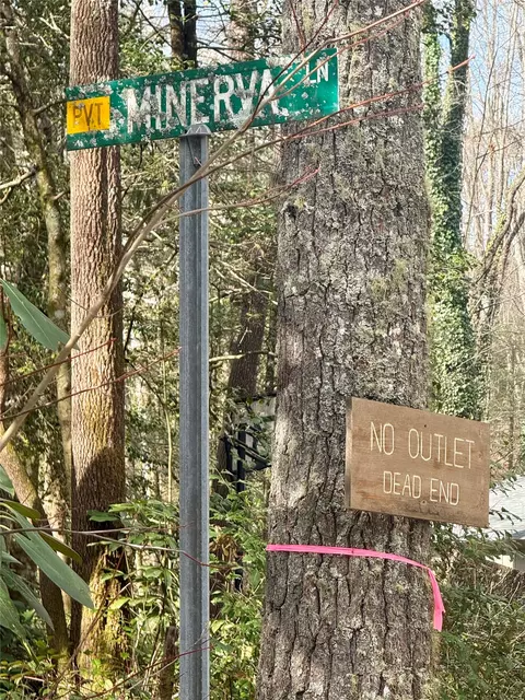 tbd Minerva, Sapphire, NC 28774 photo 13