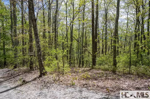 41 Ac Trussing Ter, Sapphire, NC 28774 photo 27