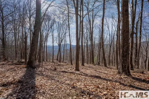 41 Ac Trussing Ter, Sapphire, NC 28774 photo 10
