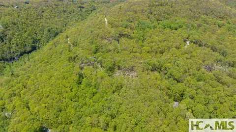 41 Ac Trussing Ter, Sapphire, NC 28774 photo 47