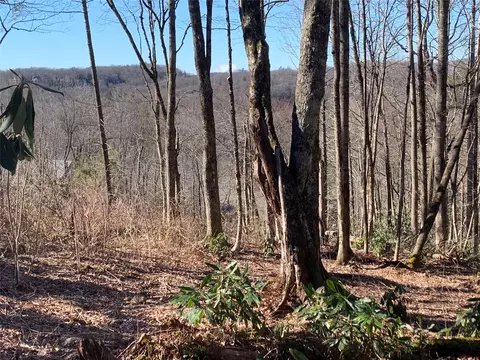 95 Oak Pt, Highlands, NC 28741 photo 5