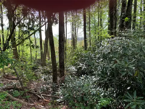 95 Oak Pt, Highlands, NC 28741 photo 3