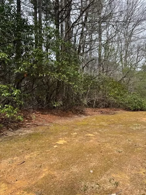 72 Big Pine Rd, Sapphire, NC 28774 photo 7
