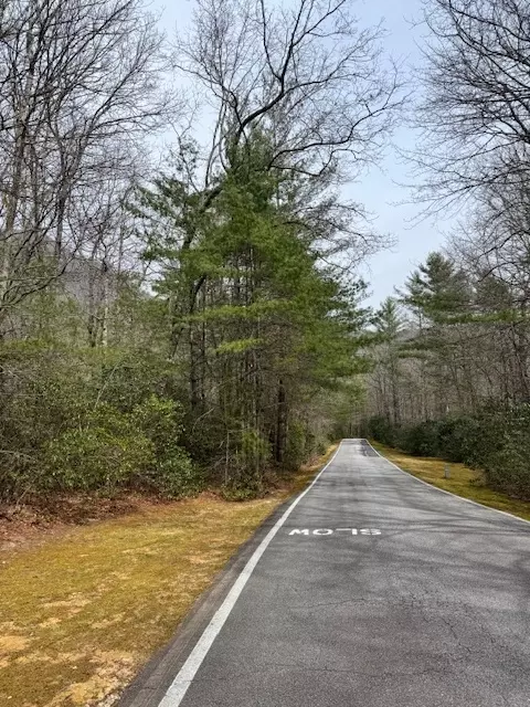 72 Big Pine Rd, Sapphire, NC 28774 photo 2