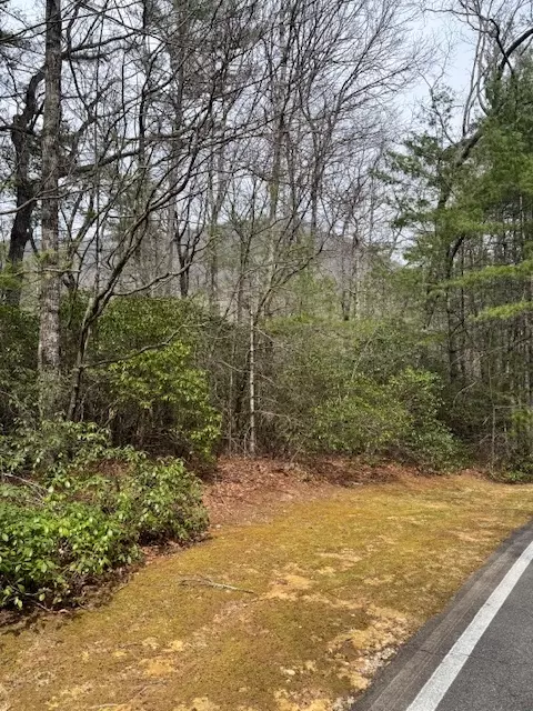 72 Big Pine Rd, Sapphire, NC 28774 photo 3