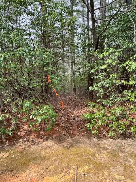 72 Big Pine Rd, Sapphire, NC 28774 photo 6