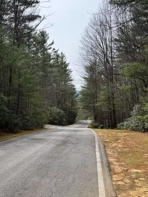 72 Big Pine Rd, Sapphire, NC 28774 photo 4