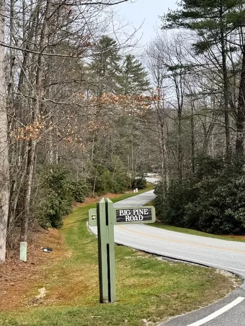 72 Big Pine Rd, Sapphire, NC 28774 photo 8