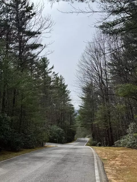 72 Big Pine Rd, Sapphire, NC 28774 photo 5