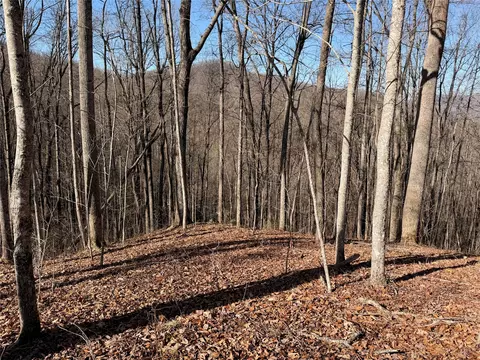 0 Posey Blanton Rd, Sylva, NC 28779 photo 5