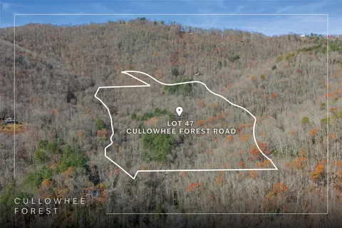 lot47 Cullowhee Forest Rd, Cullowhee, NC 28723 photo 3