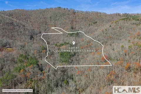 lot47 Cullowhee Forest Rd, Cullowhee, NC 28723 photo 15