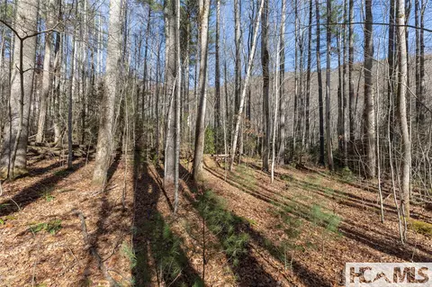 lot47 Cullowhee Forest Rd, Cullowhee, NC 28723 photo 5