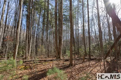 lot47 Cullowhee Forest Rd, Cullowhee, NC 28723 photo 4