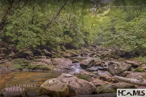 lot47 Cullowhee Forest Rd, Cullowhee, NC 28723 photo 26