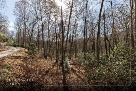 lot47 Cullowhee Forest Rd, Cullowhee, NC 28723 photo 2