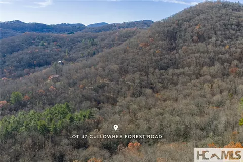 lot47 Cullowhee Forest Rd, Cullowhee, NC 28723 photo 13