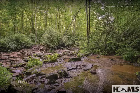 lot47 Cullowhee Forest Rd, Cullowhee, NC 28723 photo 25