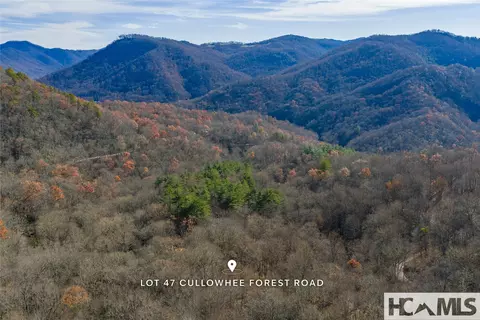lot47 Cullowhee Forest Rd, Cullowhee, NC 28723 photo 11