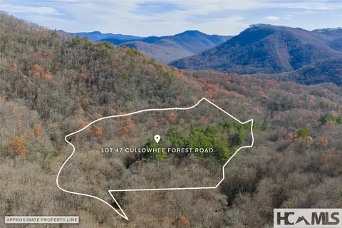 lot47 Cullowhee Forest Rd, Cullowhee, NC 28723 photo 10