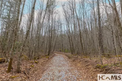 Tr A Fenley Forest Trail, Cullowhee, NC 28723 photo 7