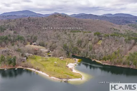 Tr A Fenley Forest Trail, Cullowhee, NC 28723 photo 35
