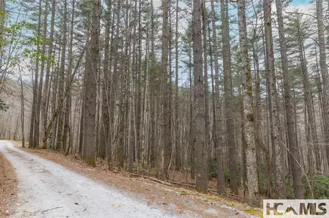 Tr A Fenley Forest Trail, Cullowhee, NC 28723 photo 23